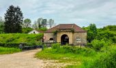 Trail Walking Langres - Boucle 32 km autour de Langres - Photo 7