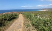 Percorso Marcia Crozon - CAP de la chèvre avec le hameau de Kerroux  - Photo 9