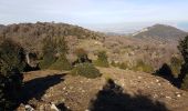 Tour Wandern Collioure - Col de la serra. sailfort. Col de pal.coulomates. long de ruisseau et canal  - Photo 5