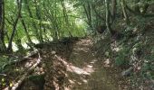 Excursión Senderismo Bort-les-Orgues - tour des orgues  - Photo 14