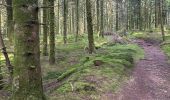 Trail  Saint-Brisson - Saint Brisson Morvan - Photo 7