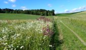 Tour Wandern Huldenberg - #200619 - Loonbeek Neerijse - Photo 10