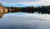 Tour Wandern Roche - Boucle depuis les Champs d’Or via le pavillon des 4 vents - Photo 1