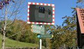 Percorso A piedi Immenstadt im Allgäu - Großer Alpsee Rundwanderweg - Photo 1