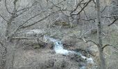 Trail Walking Besse-et-Saint-Anastaise - 2020-02-15 13:19:34 Jour - Photo 13