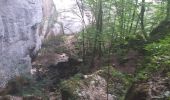 Excursión Senderismo Mouthier-Haute-Pierre - gorges de noailles  - Photo 2