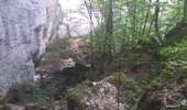 Trail Walking Mouthier-Haute-Pierre - gorges de noailles  - Photo 2