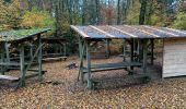 Tour Wandern Libin - Libin - Roumont Chris 1/11 - Photo 8