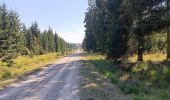 Tour Wandern Weismes - autour de botrange et du bois de sourbrodt - Photo 12