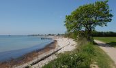 Excursión A pie Dahme - Große Holzkoppel-Route - Photo 4