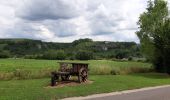 Randonnée Marche Wanze - moha promenade de la pierre - Photo 16