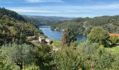 Excursión Senderismo Sobrado e Bairros - Castelo de Paiva - Douro (GR60) - Photo 11