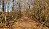 Tocht Te voet Vieux-Moulin - en forêt de Compiègne_23_la Grotte des Ramoneurs_le Mont Berny - Photo 9