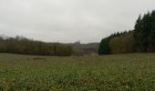 Trail Walking Anhée - maredsous par temps de pluie - Photo 8