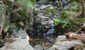 Percorso Marcia Val-d'Aigoual - Cascade d'Orgon depuis Cap de Côte - vue Mont Aigoual - Photo 6