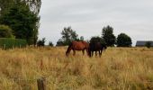 Excursión Senderismo Lierneux - Kamp 2019 Arbrefontaine 2 - Photo 7