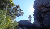 Trail On foot Sintra - Wikiloc - Sintra Parc da Pena - Photo 13