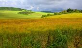 Tocht Stappen Nailly - Boucle 25 km autour de Nailly  - Photo 14