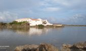 Excursión Senderismo Frontignan - les anciens salins de frontignan - Photo 2