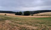 Trail Walking La Roche-en-Ardenne - GR 14 LA ROCHE - BIVOUAC DE GOLET (STE-ODE) - Photo 4