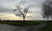 Trail Walking Sluis - Retranchement 16 km - Photo 8