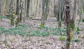 Excursión Senderismo Anhée - Warnant - Haut le wastia, jonquilles - Photo 13