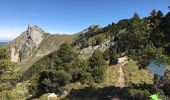 Tour Wandern Plateau-des-Petites-Roches - Piton de Bellefond - Photo 2