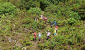 Excursión Senderismo Cedros -  caldeira Faial - Photo 11