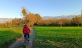 Percorso Mountainbike Vinay - Vinay-variante plateau de la Blache (par Bressot et Faye)  - Photo 12