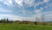 Trail Walking Theux - la reid . vert buisson . charmille / variante  - Photo 15