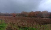 Percorso Marcia Liegi - tournocoti sous la pluie dans Streupas - Photo 7