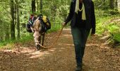 Tocht Stappen Xonrupt-Longemer - 2024 RA Vosges J1 Rando âne sur les crêtes - Photo 11