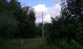 Trail Walking Estissac - HTA Estissac - Photo 10