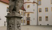 Trail On foot Sulzbach-Rosenberg - Sulzbach-Rosenberg 1 - Photo 2