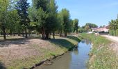 Trail Walking Saint-Cyprien - petit tour à St Cyprien  - Photo 12