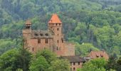 Tour Zu Fuß Erlenbach bei Dahn - Hans-Trapp-Tour - Photo 8