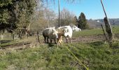 Excursión Senderismo Beaumont - BEAUMONT: Belvédère vers Leval Chaudeville. COURT - Photo 2