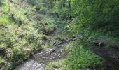 Randonnée Marche Houffalize - lac de Nisramont  - Photo 2