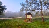 Tocht Stappen Noisy-sur-École - Boucle 24 km Fontainebleau Arbonne - Photo 16