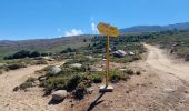 Excursión Bici de montaña Zicavo - Balade sur le plateau du Coscione - VTT - Photo 11