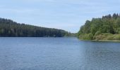 Randonnée Marche Butgenbach - A la découverte du Lac de Butgenbach - Photo 8