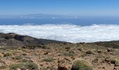 Excursión A pie La Orotava - Parador de Teide Alto Guajara caldeira de Teide  - Photo 16
