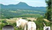 Trail Horseback riding Saint-Jacques-d'Ambur - SAINT JACQUES / LE ROCHER DU SOLDAT 32 KMS - Photo 2