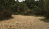 Trail Walking Grasse - Plateau de la malle - Photo 10