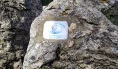 Trail Walking La Roquebrussanne - ROQUEBRUSANNE - Photo 15