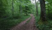 Trail Walking Virton - Lamorteau  -  Balade_VTT_28kms - Photo 14