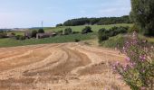 Tour Wandern Les Ormes - les Ormes - GR48 GR655 Poizay PM - 9.4km 100m 2h05 - 2024 07 18 - Photo 3