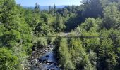 Trail Walking Villafranca in Lunigiana - CR_Francigena_CF_29_Villafranca-In-Lunigiana_Aulla_20220611 - Photo 11