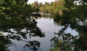 Randonnée Marche Waimes - Barrage de Robert Ville et Château Steinhart - Photo 19