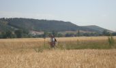 Tocht Stappen Burgos - CC_Frances_CA_13_Burgos_Hontanas_20110704 - Photo 3